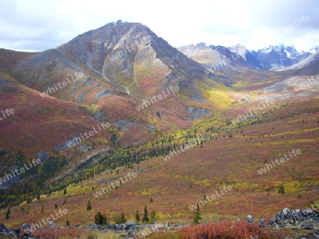 Tombstone Mountains