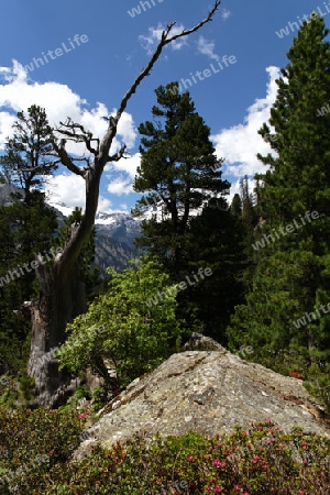 Zillertaler Berge, Oesterreich