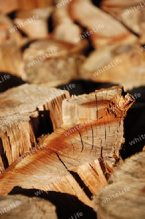 Holzscheite