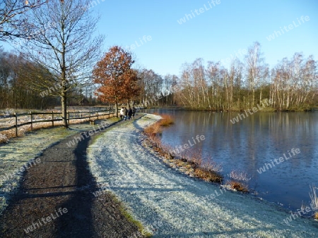 Spaziergang am See - am Morgen