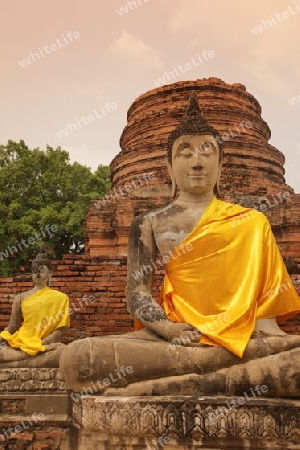 Der Wat Yai Chai Tempel in der Tempelstadt Ayutthaya noerdlich von Bangkok in Thailand.