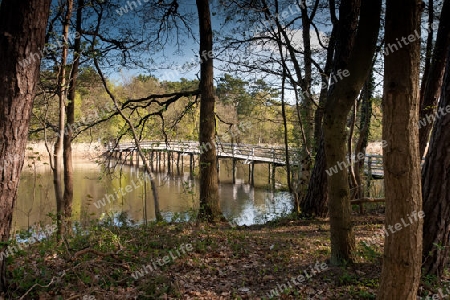 Prerowstrom in Prerow auf dem Darss, Nationalpark Vorpommersche Boddenlandschaft, Deutschland