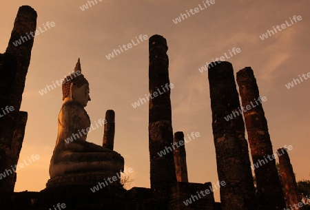 Eine Buddha Figur  im Wat Mahathat Tempel in der Tempelanlage von Alt-Sukhothai in der Provinz Sukhothai im Norden von Thailand in Suedostasien.