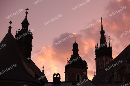 Der Rynek Glowny Platz mit der Marienkirche in der Altstadt von Krakau im sueden von Polen. 