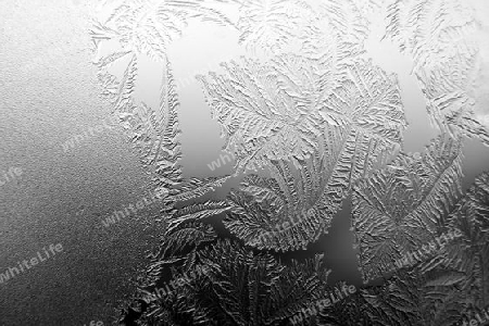 Frost auf den Glas