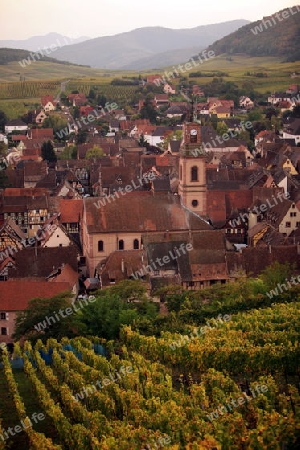 the olt town of the village of Riquewihr in the province of Alsace in France in Europe