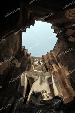 Die Buddha Figur  im Wat Si Chum Tempel in der Tempelanlage von Alt-Sukhothai in der Provinz Sukhothai im Norden von Thailand in Suedostasien.