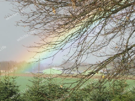 Regenbogen