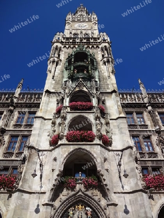 Rathaus in M?nchen