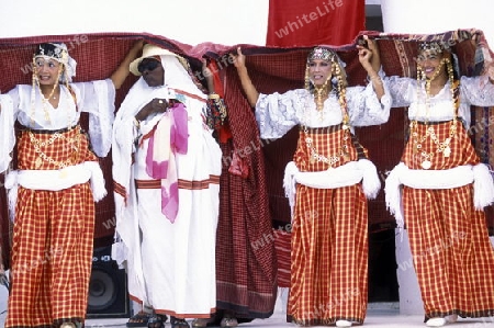 auf der Insel Jierba im Sueden von Tunesien in Nordafrika.  