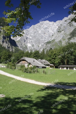 Watzmann Ostwand von St. Bertholom?