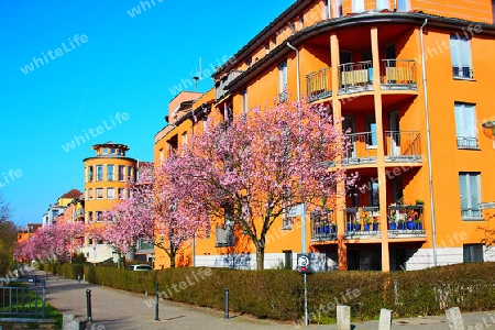 Der Frühling hat sich auf den Weg gemacht