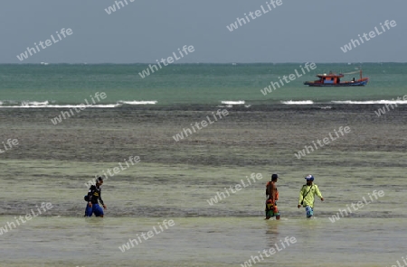 Ein Strand in Rawai Beach im sueden der Insel Phuket im sueden von Thailand in Suedostasien.