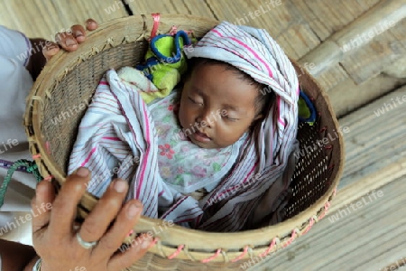 Eine Traditionell gekleidete Langhals Frau eines Paudang Stammes aus Burma lebt in einem Dorf noerdlich von Chiang Mai in Nord Thailand