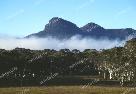 Mt.Field Nationalpark