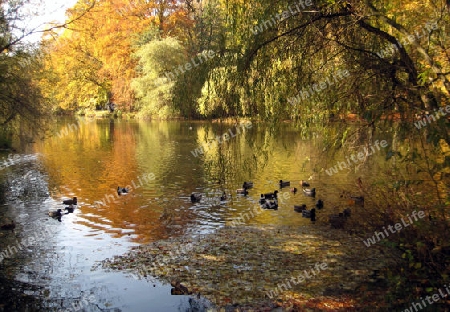 Englischer Garten M?nchen