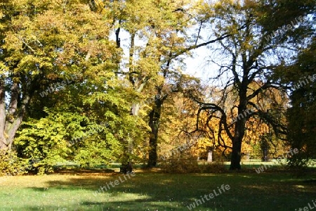 Herbststimmung Neuer Garten