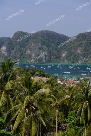 The view from the Viewpoint on the Town of Ko PhiPhi on Ko Phi Phi Island outside of the City of Krabi on the Andaman Sea in the south of Thailand. 