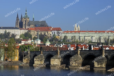 Blick ueber die Moldau auf die Karlsbr?cke und den Veitsdom am fruehen Morgen in  Prag,  Kleinseite, Tschechien, Europa, Boehmen, Europa