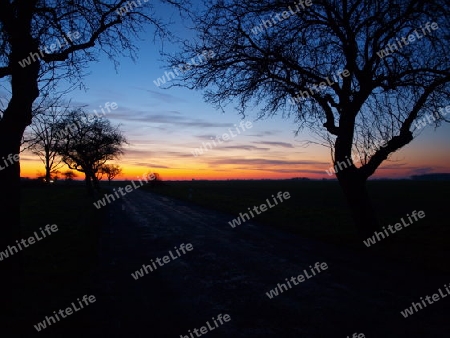 Landstra?e im Herbst