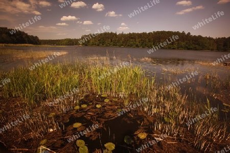 a smal lake near the city of Vilnius and the Baltic State of Lithuania,  