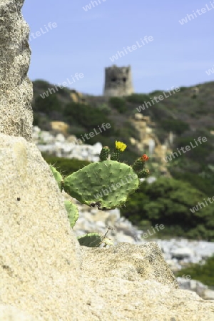 Villasimius, Capo Carbonara