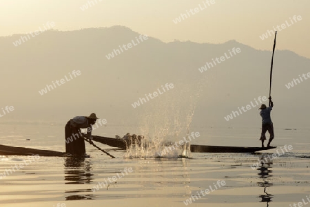 Fishermen at sunrise in the Landscape on the Inle Lake in the Shan State in the east of Myanmar in Southeastasia.