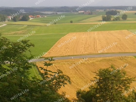 Wandern am Pelhamer See