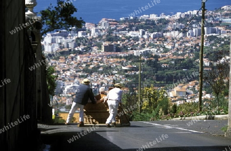 Ein Korbschlitten faehrt von Monte in die Hauptstadt Funchal auf der Insel Madeira im Atlantischen Ozean