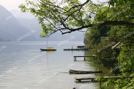 Boot am see