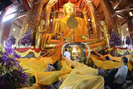 A allday ceremony in the Wat Phanan Choeng Temple in City of Ayutthaya in the north of Bangkok in Thailand, Southeastasia.