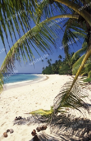 Asien, Indischer Ozean, Sri Lanka,
Ein Traumstrand beim Kuestendorf Hikkaduwa an der Suedwestkueste von Sri Lanka. (URS FLUEELER)






