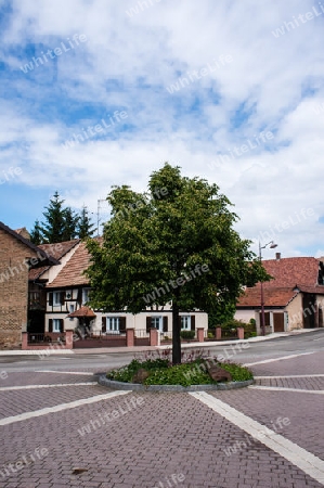 Lampertheim