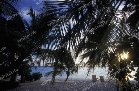 
Der Traumstrand mit Palmen und weissem Sand an der Insel Velavaru im Southmale Atoll auf den Inseln der Malediven im Indischen Ozean.   