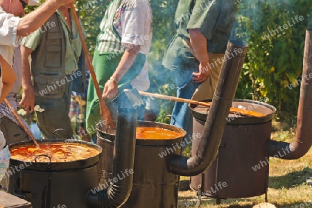 Gulasch - Eintopf in der pannonischen Tiefebene 