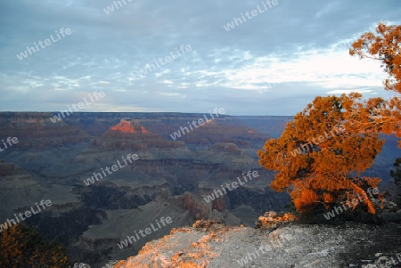 Grand Canyon Sonnenuntergang