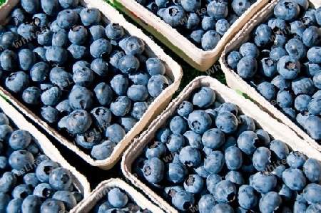 Blaubeeren auf dem Wochenmarkt