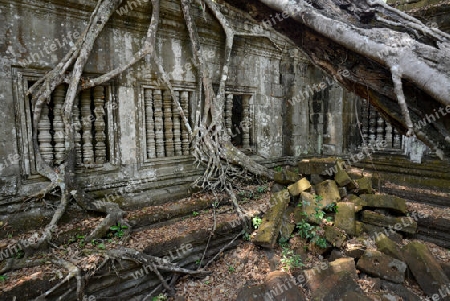 The Tempel Ruin of  Beng Mealea 32 Km north of in the Temple City of Angkor near the City of Siem Riep in the west of Cambodia.