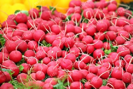 Radieschen, Radishes