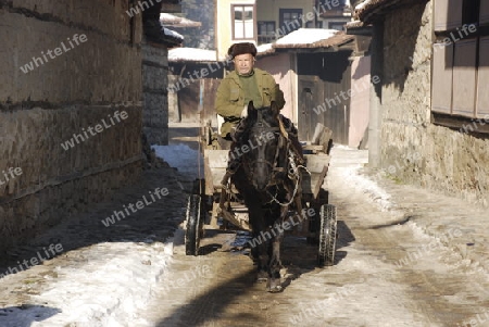 Man with donkey cart,Koprivshtitsa,Bulgaria