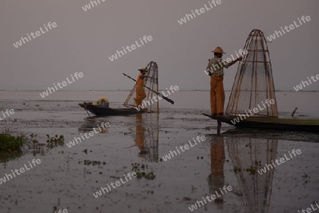 Fishermen at sunrise in the Landscape on the Inle Lake in the Shan State in the east of Myanmar in Southeastasia.