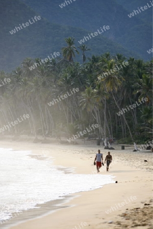 Suedamerika, Karibik, Venezuela, Nord, Choroni, National Park Hanri Pittier, Strand, Beach, Palmenstrand, Natur, Landschaft, Paar, Menschen, Ferien, Idylle, Bucht, Meer