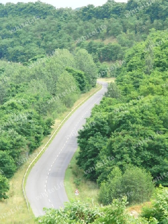 Strasse durch den Wald