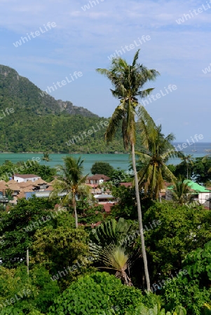 The view from the Viewpoint on the Town of Ko PhiPhi on Ko Phi Phi Island outside of the City of Krabi on the Andaman Sea in the south of Thailand. 