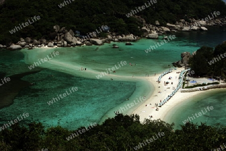 Die Strand und Insellandschaft auf der Insel Koh Naang Yuan neben der Insel Ko Tao im Golf von Thailand im Suedwesten von Thailand in Suedostasien. 