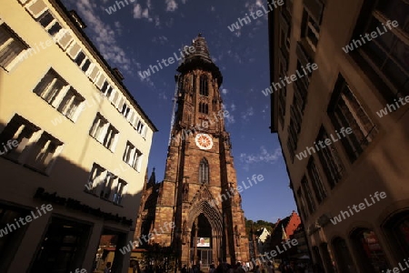  the muenster church in the old town of Freiburg im Breisgau in the Blackforest in the south of Germany in Europe.