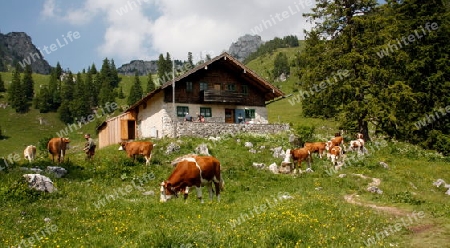 Alm auf dem Wendelstein