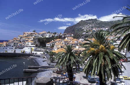 Das Traditionelle Fischerdorf Camara de Lobos im sueden  der Insel Madeira im Atlantischen Ozean, Portugal.