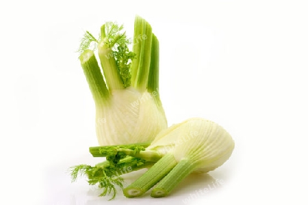 Fenchel