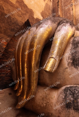 Die Buddha Figur  im Wat Si Chum Tempel in der Tempelanlage von Alt-Sukhothai in der Provinz Sukhothai im Norden von Thailand in Suedostasien.